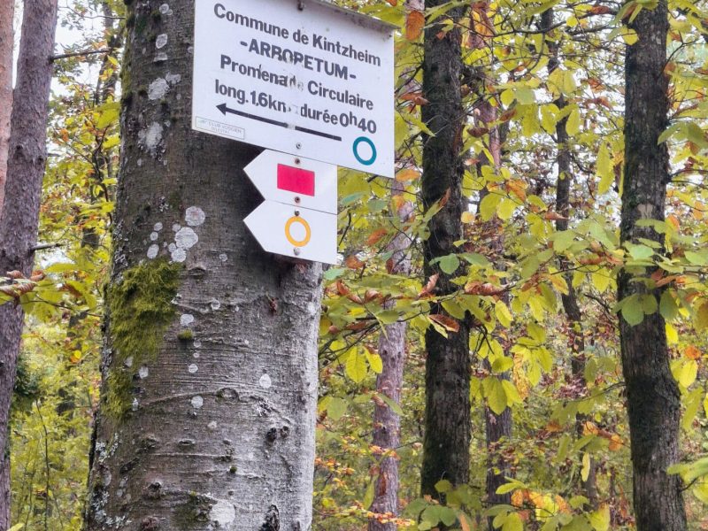 Balisage directionnel