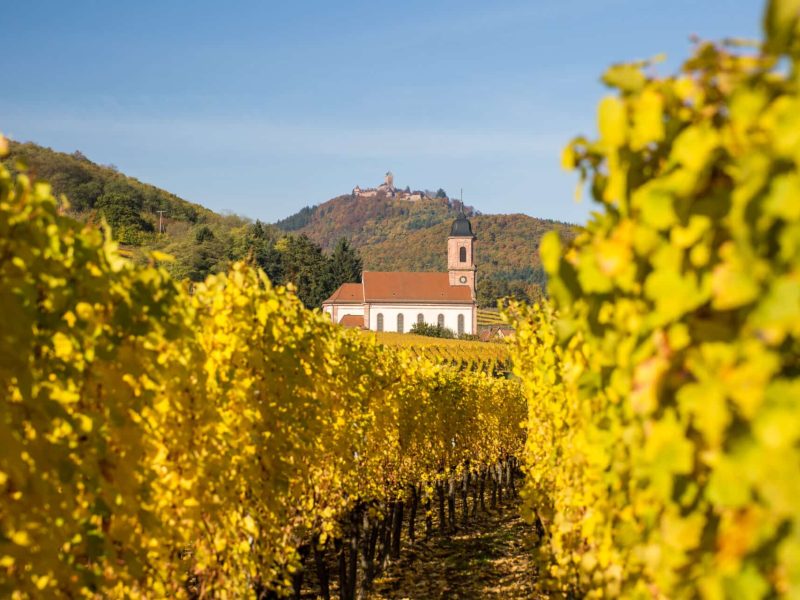 Eglise d'Orschwiller Tristan VUANO