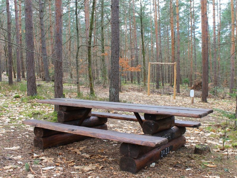 Aire de l'Arboretum Kintzheim SHKT