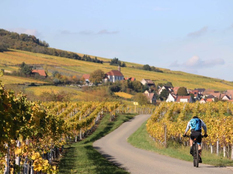 Sillonner le vignoble à vélo SHKT