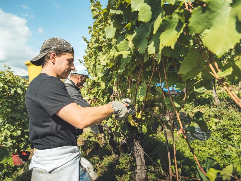 ART GE - Pierre DEFONTAINE