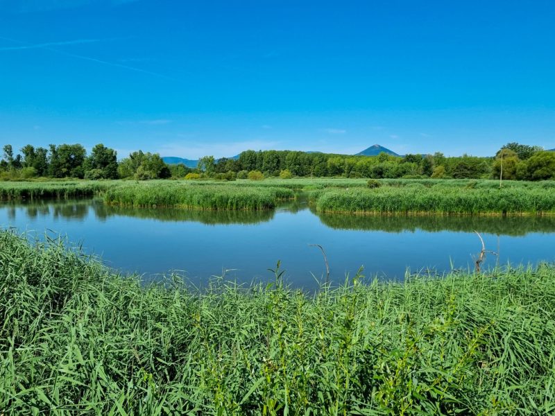 Rohrmatten L. CONREAUX - SHKT