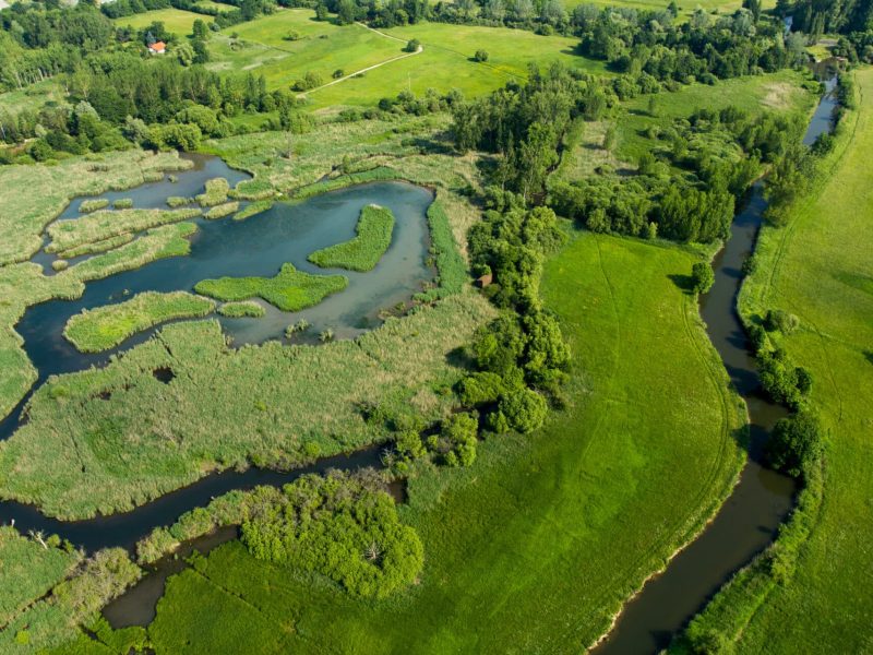Les Rohrmatten bannwarth.balloide-photo.com
