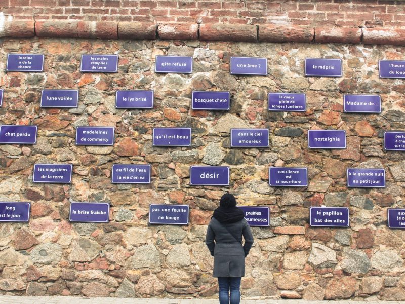 Oeuvre "Le rêve" - Sarkis N. PETIT - SHKT